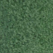 Hunter Green