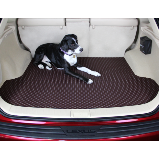 Rubbertite Car Mats
